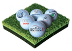 http://www.golf-wimereux.com/fr/wp-content/uploads/2012/02/proam.png